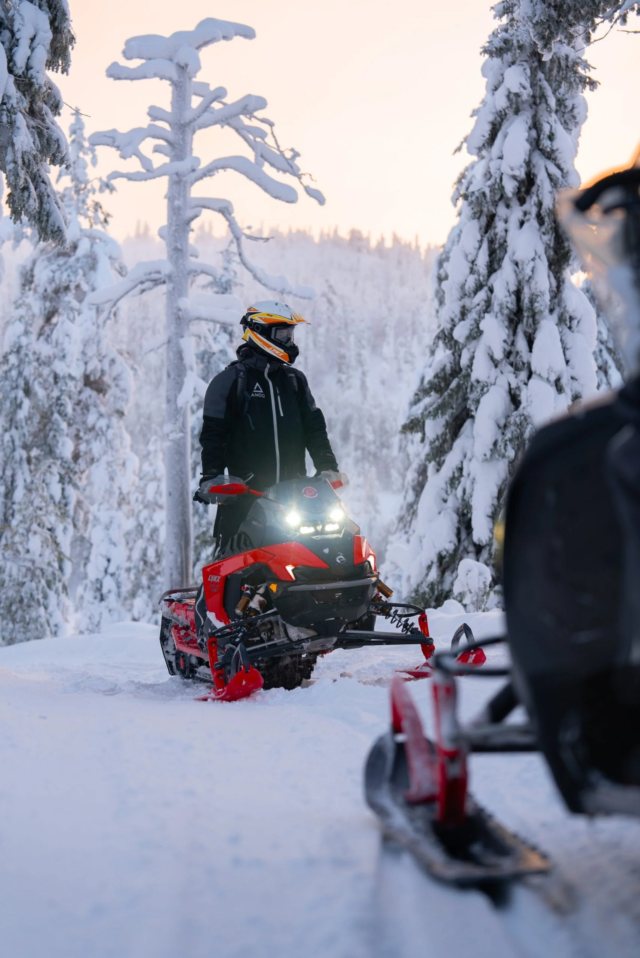 Vuokraa kelkka Stella Polarikselta