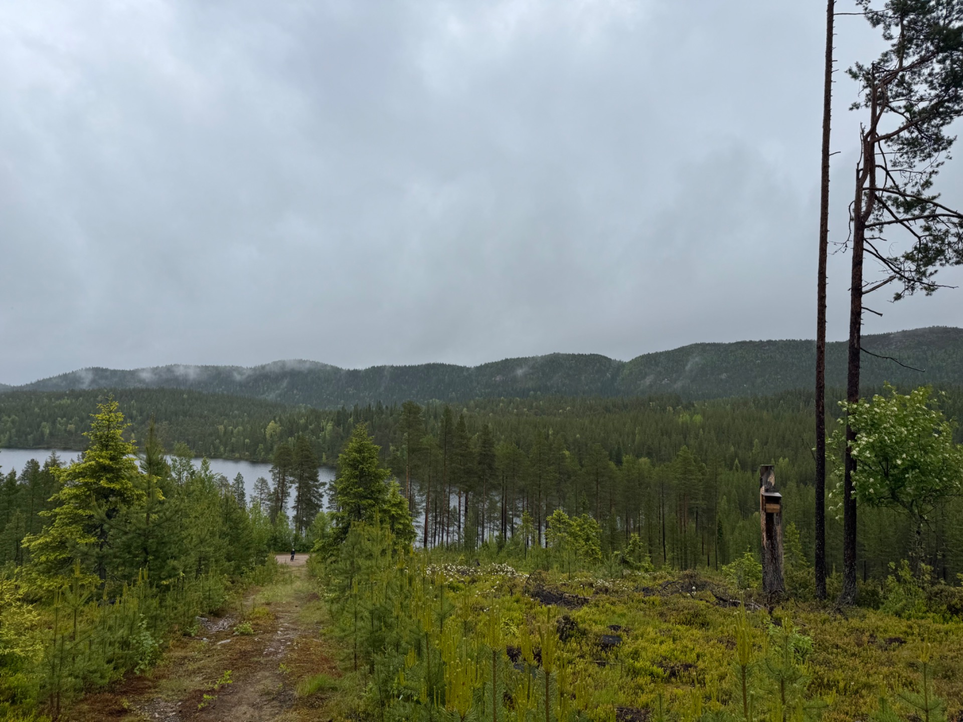 Retkeilyä Rukan maisemissa